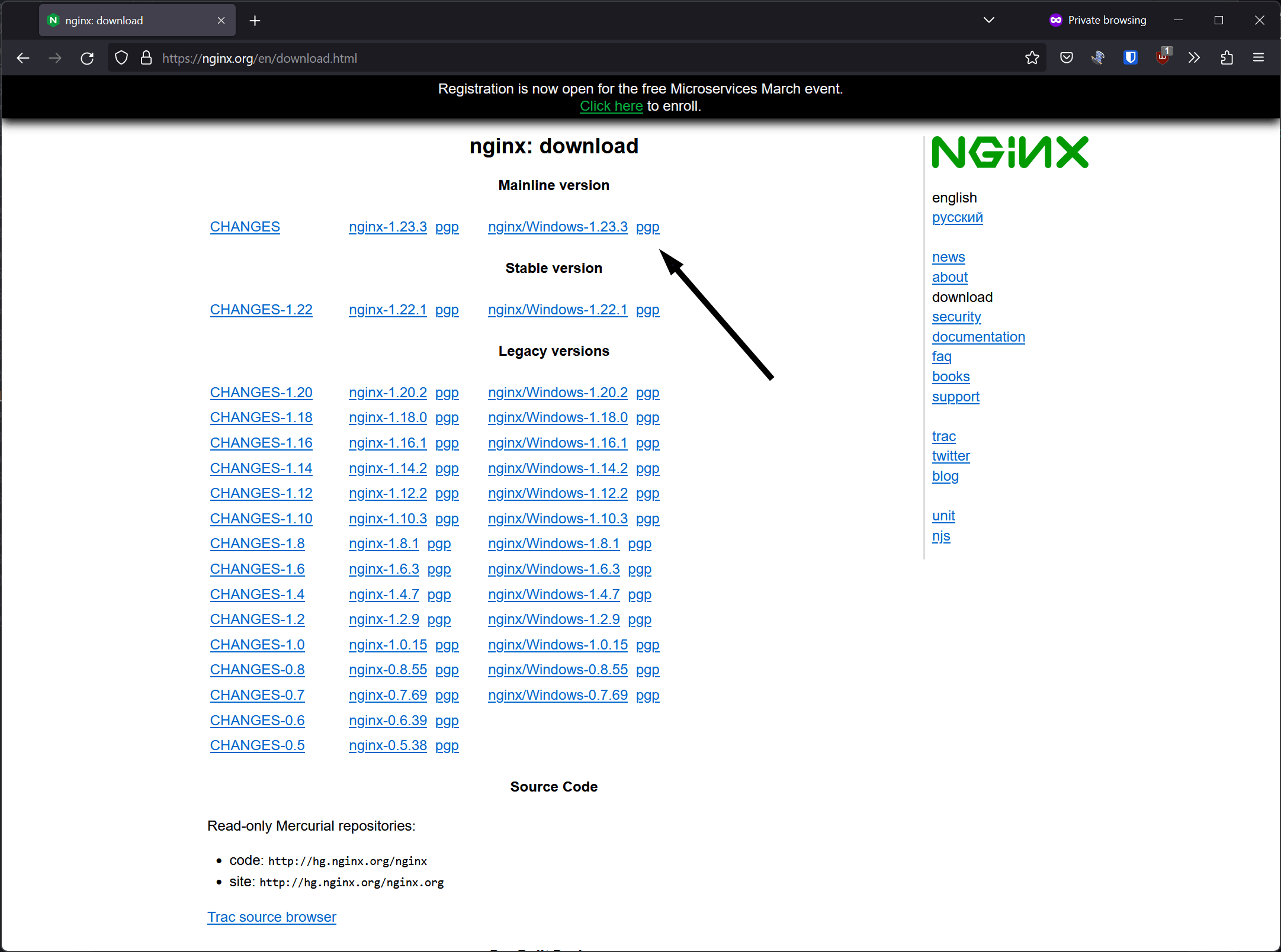 NGINX Windows Download